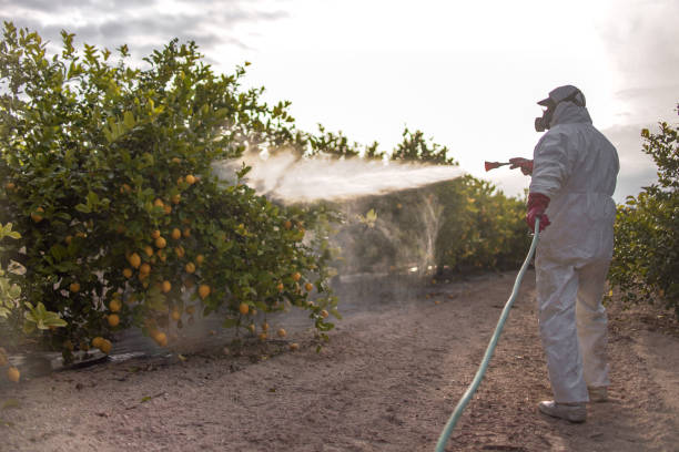 Professional Pest Control in Smithville Sanders, IN